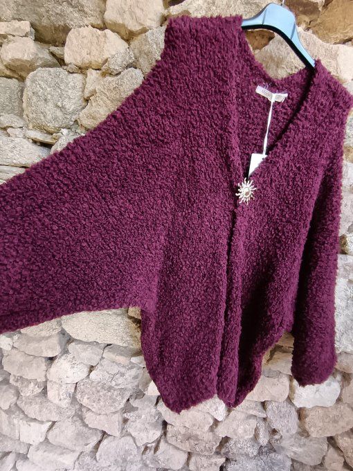 Gilet bouclette avec broche dorée