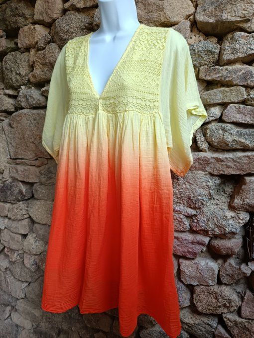 Robe Coloris Dégradé