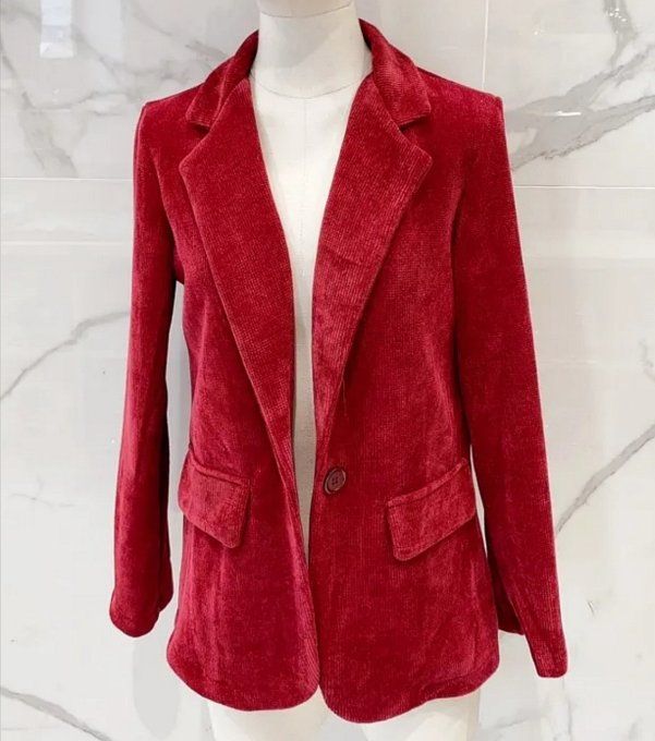 Blazer Velours Cerise